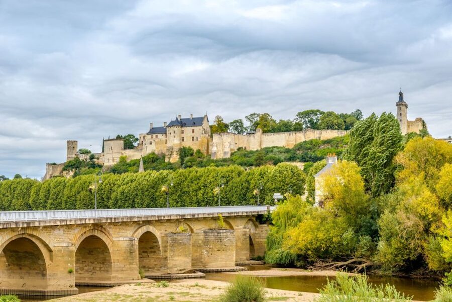 From Tours: Loire Valley Wineries Day Trip with Tastings - Bourgueil and the second winery