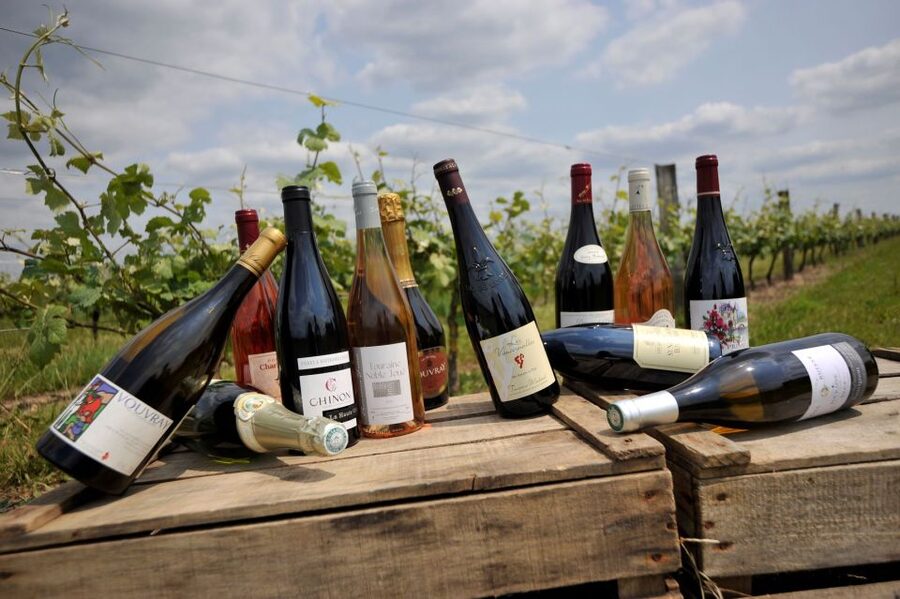 From Tours: Loire Valley Wineries Day Trip with Tastings - The ride back to Tours