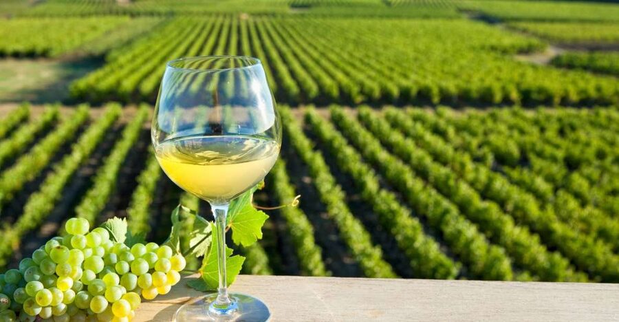 From Tours: Loire Valley Wineries Day Trip with Tastings - What the $182 price includes