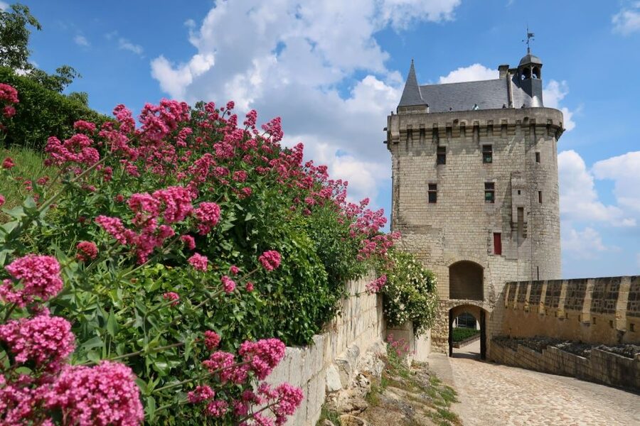 From Tours: Loire Valley Wineries Day Trip with Tastings - Who will enjoy this day most