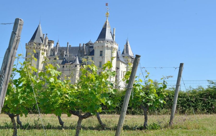 From Tours: Loire Valley Wineries Day Trip with Tastings - Leaving Tours for the Chinon wine country