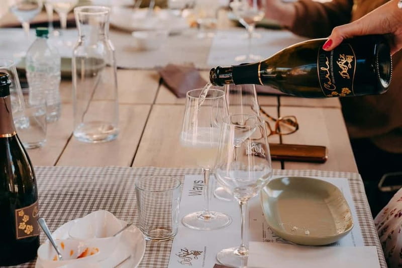 From Venice: Prosecco Hills and Wine Tasting Tour - The guides make the small group work