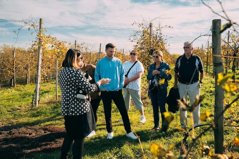 From Venice: Prosecco Hills and Wine Tasting Tour - Valdobbiadene: vines, family producers, and the first tasting