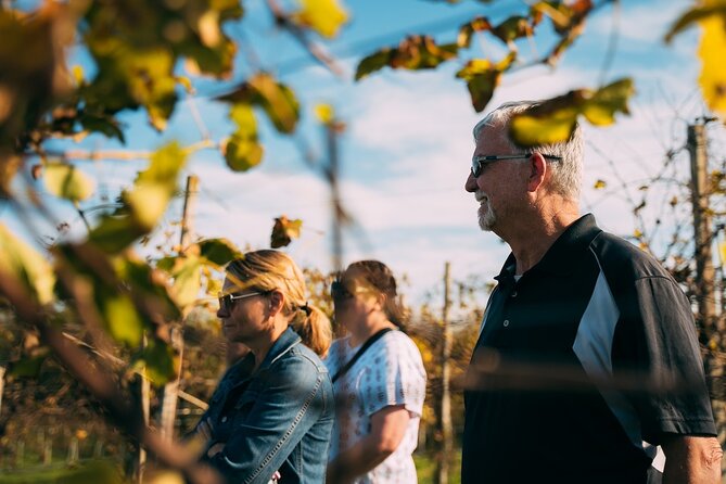 From Venice: Prosecco Wine Region Tour with 2 Tastings - A light Veneto lunch between the tastings