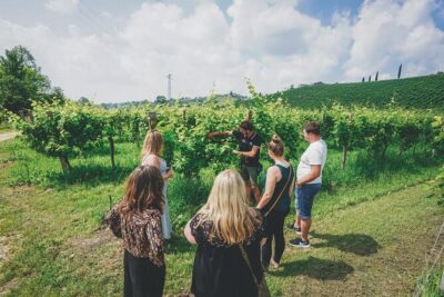 Prosecco Wine Region Tour with 2 Tastings