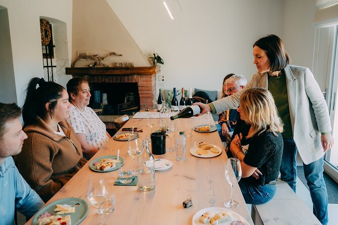 From Venice: Prosecco Wine Region Tour with 2 Tastings - The minivan, timing, and practical comfort