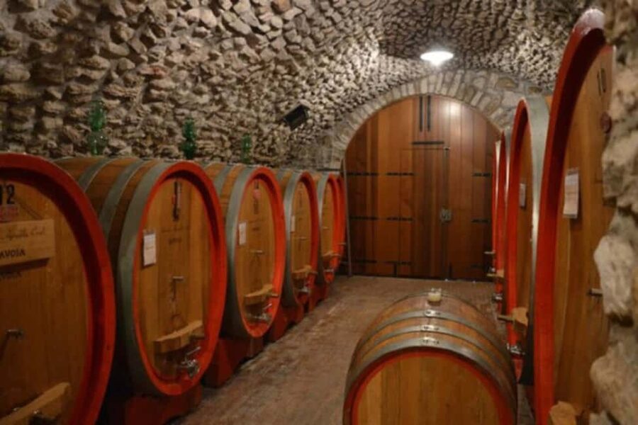 From Verona: Amarone Half-Day Wine Tasting Tour - What the 3.5-hour timing really gives you