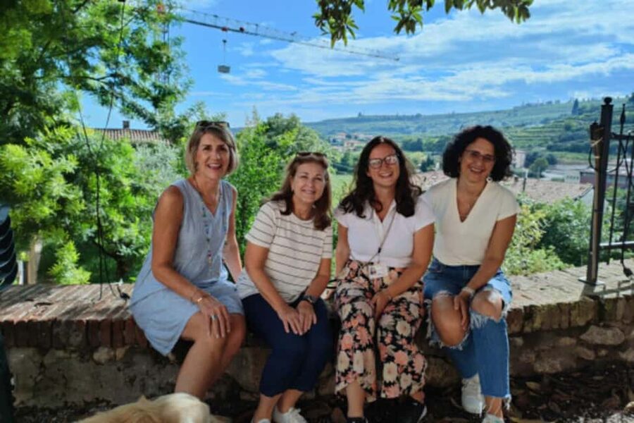 From Verona: Amarone Half-Day Wine Tasting Tour - Price, comfort, and practical value