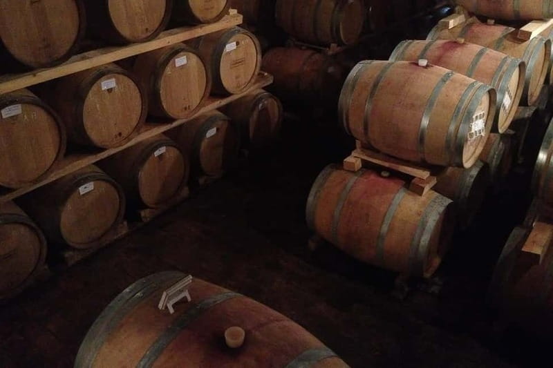 From Verona: Amarone Wine E-Bike Tour with Tasting - Key points to know before you book