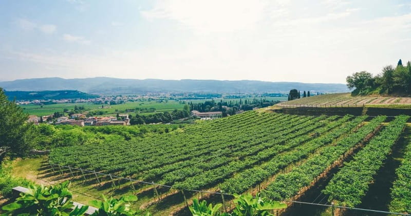 From Verona: Amarone Wine E-Bike Tour with Tasting - FAQ