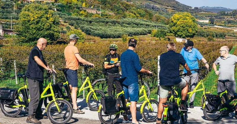 From Verona: Amarone Wine E-Bike Tour with Tasting - Electric assistance, real roads, and rolling hills