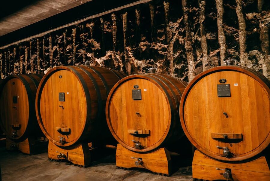 From Verona: Valpolicella and Amarone Wine Tasting Tour - First winery: cellar, sommelier, and a generous tasting