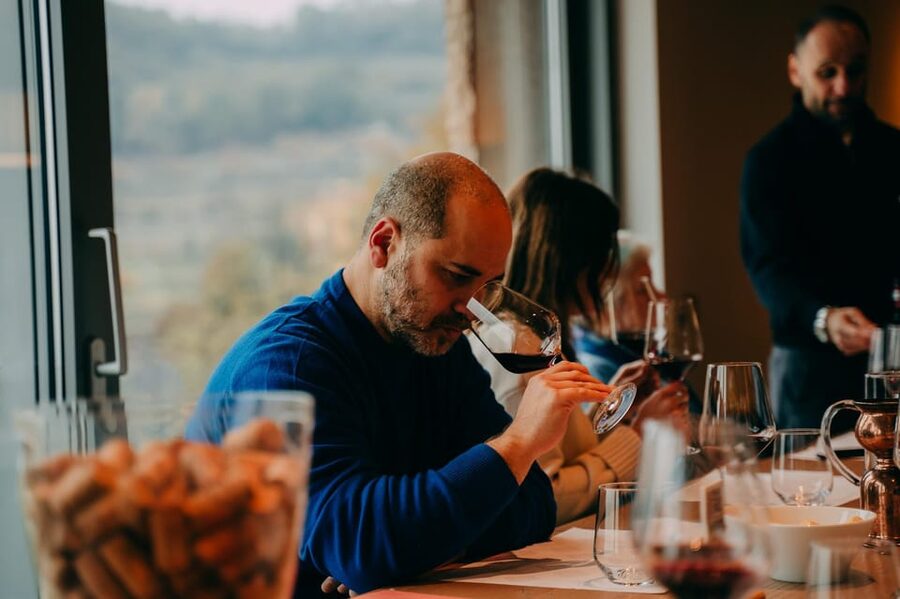 From Verona: Valpolicella and Amarone Wine Tasting Tour - Guides who make the four hours work