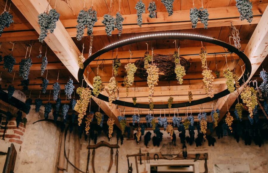 From Verona: Valpolicella and Amarone Wine Tasting Tour - What the $112.15 price really covers