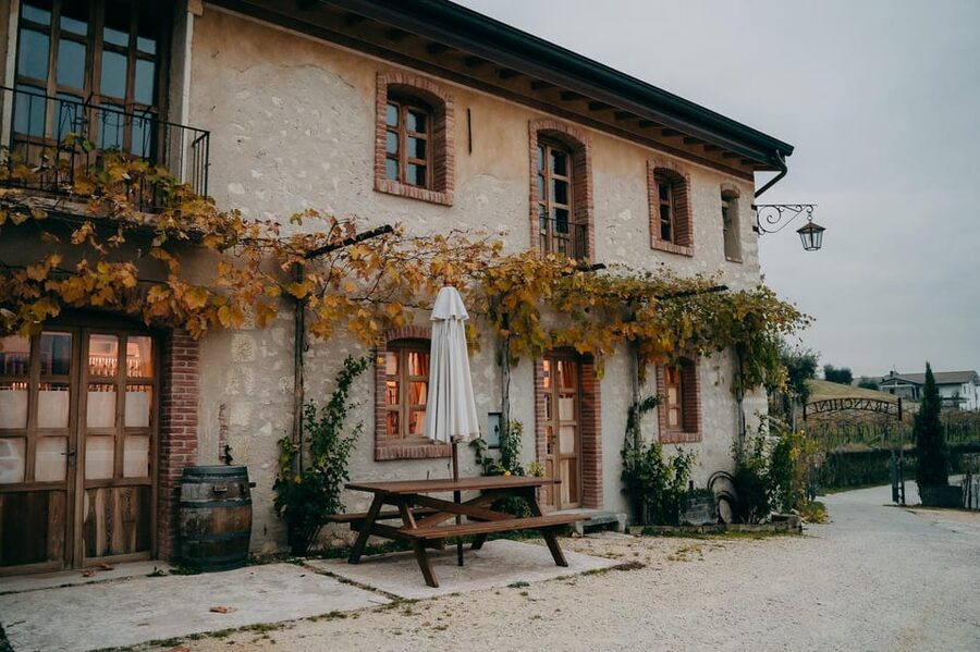 From Verona: Valpolicella and Amarone Wine Tasting Tour - Timing, age limits, and practical details