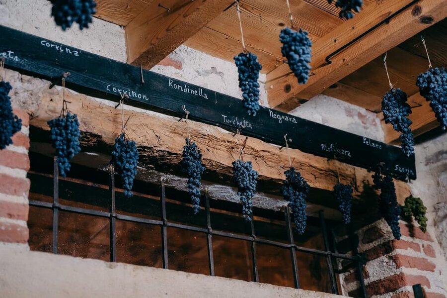 From Verona: Valpolicella and Amarone Wine Tasting Tour - Who will enjoy this tour most?