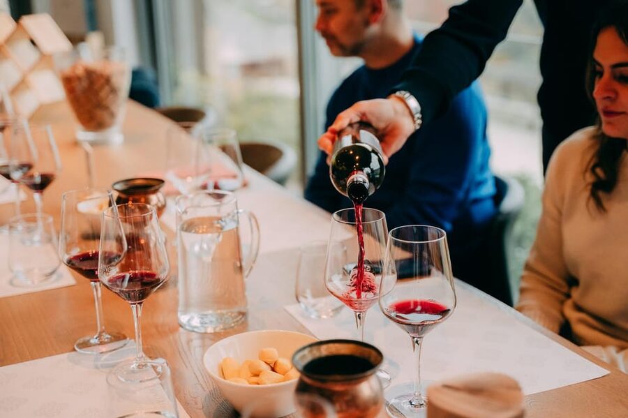 From Verona: Valpolicella and Amarone Wine Tasting Tour - Why Amarone and Ripasso matter