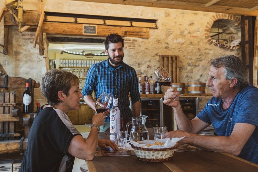From Verona: Valpolicella Winery Tour with Amarone Vintages - Inside the historic icehouse