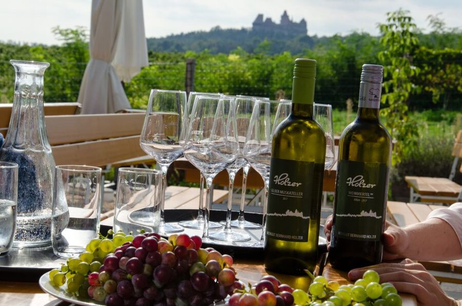From Vienna: Half-day Countryside Wine Tour with Meal - Leaving Vienna for the Weinviertel