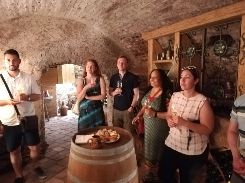 From Vienna: Half-day Countryside Wine Tour with Meal - Who will enjoy this outing most