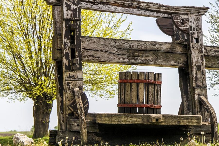 From Vienna: Half-day Countryside Wine Tour with Meal - Practical tips for a better day