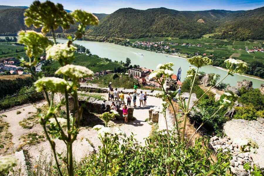 From Vienna: Wachau Valley Day Tour with Wine Tasting - Spitz to Melk by Danube boat