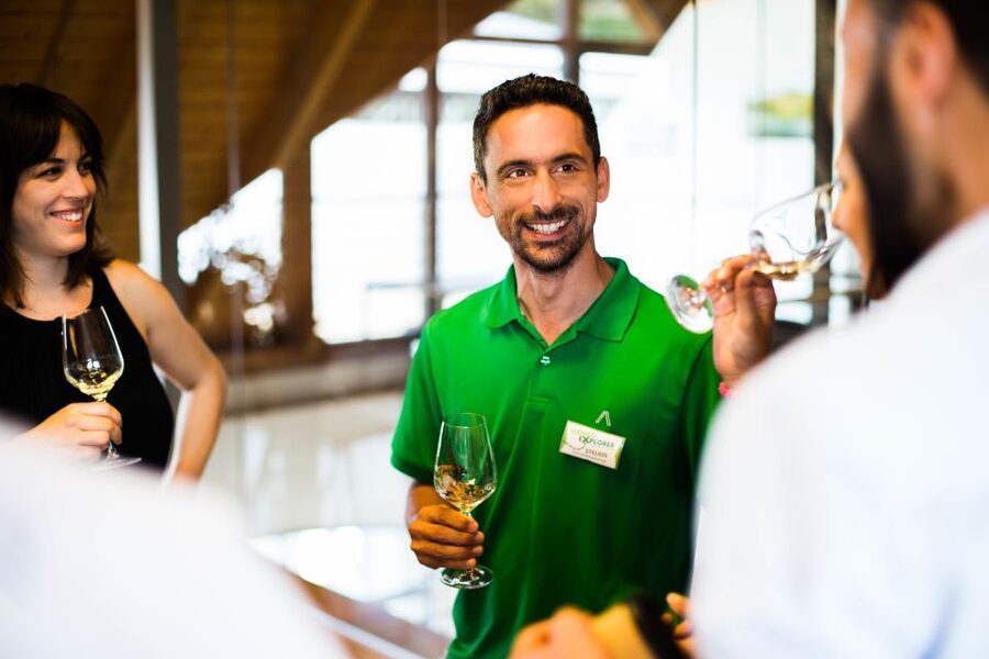 From Vienna: Wachau Valley Day Tour with Wine Tasting - What $234 includes, and what it does not