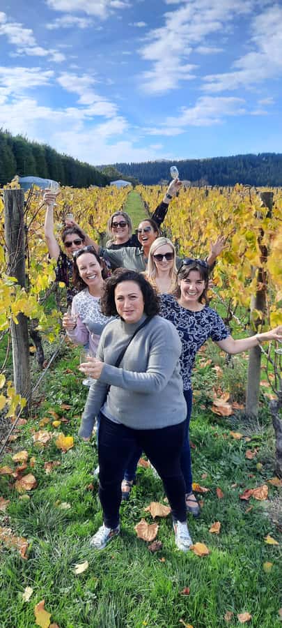 From Wellington: Martinborough Winery Tour - Five things to know before you book