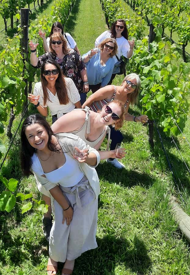 From Wellington: Martinborough Winery Tour - Leaving Wellington for the Remutaka Ranges