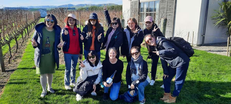 From Wellington: Martinborough Winery Tour - Three tastings, lunch, and pacing yourself