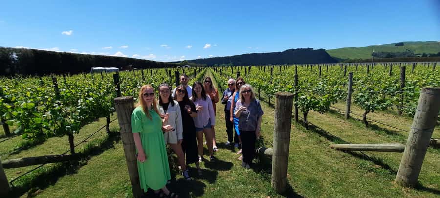 From Wellington: Martinborough Winery Tour - Why the guide makes or breaks the day