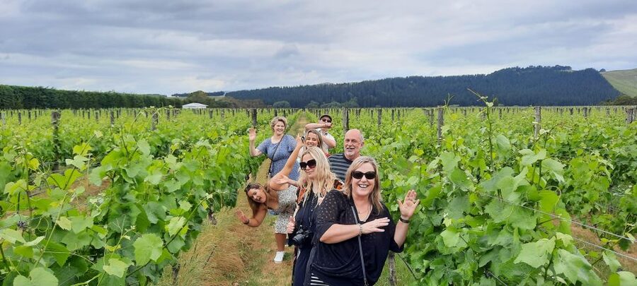 From Wellington: Martinborough Winery Tour - Is $114 good value for a half-day?
