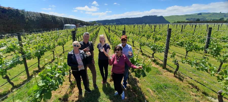 From Wellington: Martinborough Winery Tour - Arriving in Martinborough’s compact wine country