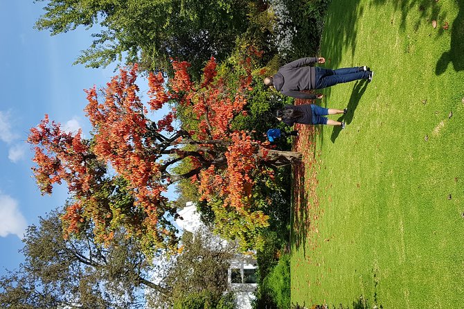 Full Day Afrivista Wine Tours from Stellenbosch - Why this Stellenbosch tour works well