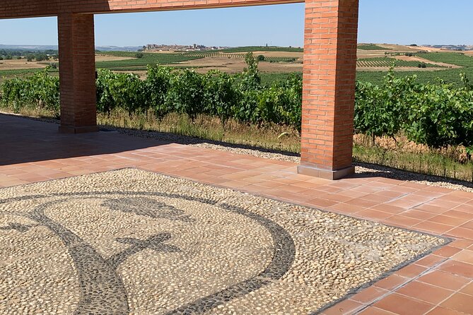 Full day at the winery, visit, tasting, aperitif and lunch - Touring The Winery And Its Vineyards