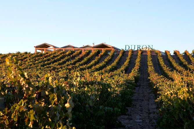 Full day at the winery, visit, tasting, aperitif and lunch - Lunch In The Viewpoint Dining Room