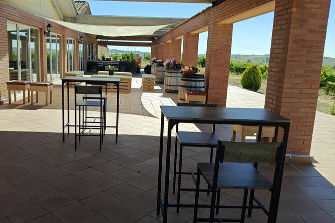 Full day at the winery, visit, tasting, aperitif and lunch - Who Will Enjoy This Experience Most