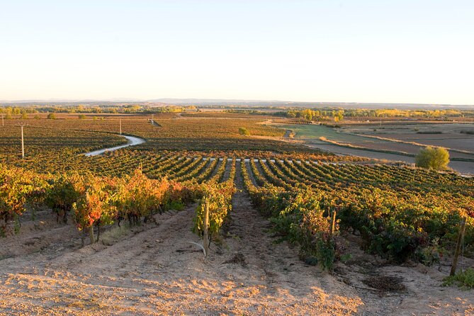 Full day at the winery, visit, tasting, aperitif and lunch - Timing, Group Size, And Booking Practicalities