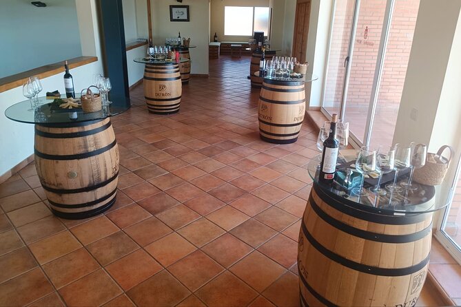 Full day at the winery, visit, tasting, aperitif and lunch - Should You Book Bodegas Durón?