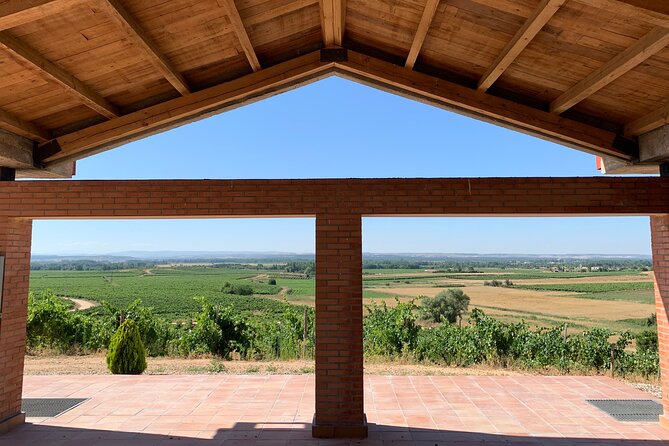 Full day at the winery, visit, tasting, aperitif and lunch - Three Wines And A Castilian Aperitif