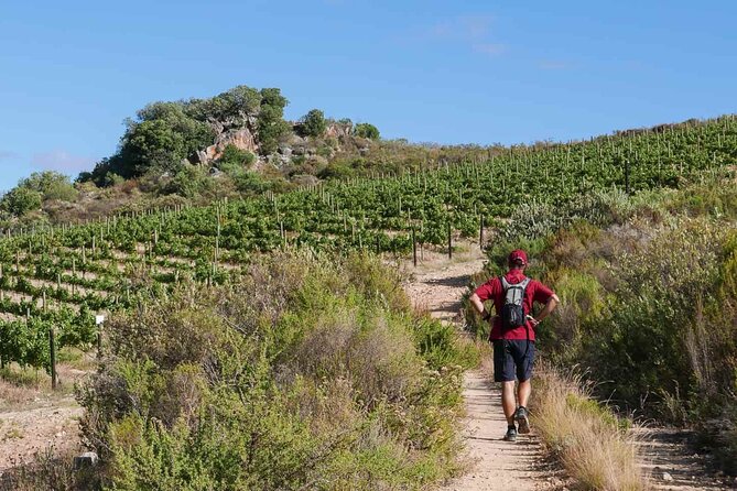 Full-Day Cape Winelands Tour - Key Points at a Glance