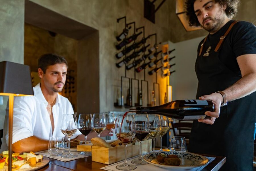 Full-Day Etna and Wine Tour from Catania - Price, timing, and who should book