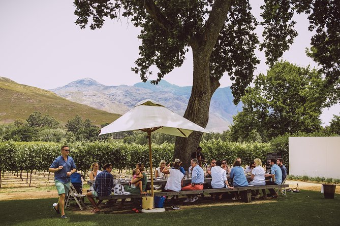 Full-Day Franschhoek Hop On Hop Off Wine Tram Tour from Cape Town - Choosing among the eight Navy Line estates