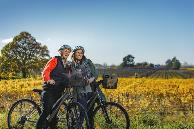 Full-Day Marlborough Wine Region Bike Hire - Key points at a glance
