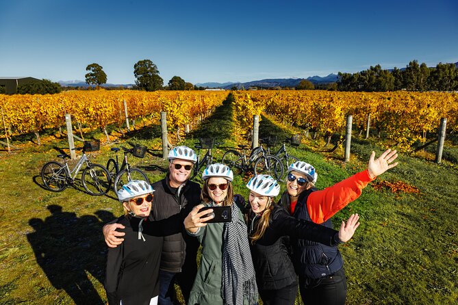 Full-Day Marlborough Wine Region Bike Hire - Why cycling suits Marlborough wine country