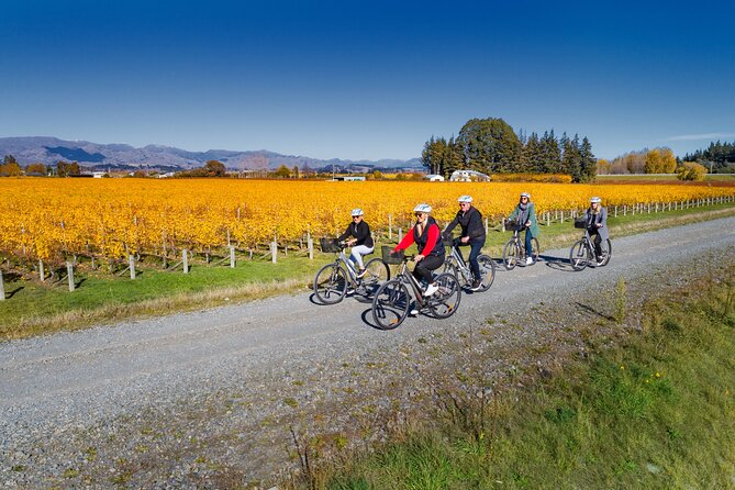 Full-Day Marlborough Wine Region Bike Hire - Cellar doors, tasting fees, and choosing your stops