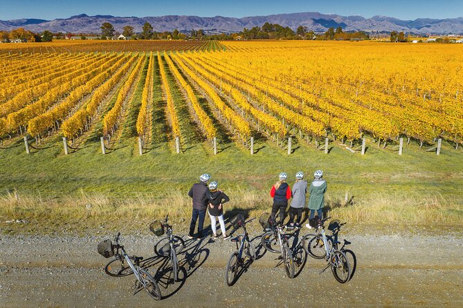 Full-Day Marlborough Wine Region Bike Hire - The service and equipment