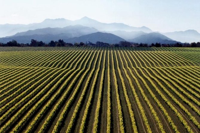 Full-Day Marlborough Wine Tour from Blenheim - Meeting in Blenheim and setting out