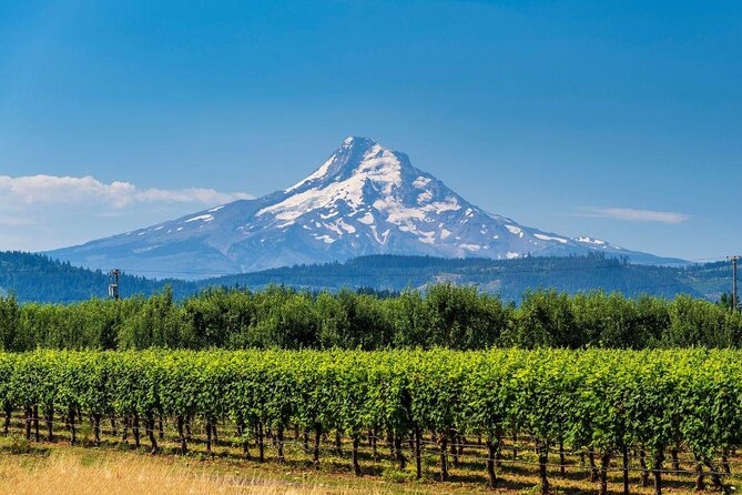 Full-Day Mt Hood Waterfall Tour with Lunch and Wine Included - Key Points at a Glance