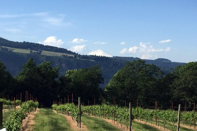 Full-Day Mt Hood Waterfall Tour with Lunch and Wine Included - Mount Hood and Timberline Lodge